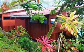 Casitas Eco Bambu